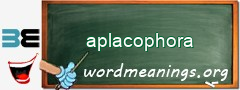 WordMeaning blackboard for aplacophora